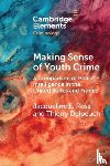 Ross, Jacqueline E. (University of Illinois College of Law), Delpeuch, Thierry (Centre National de la Recherche Scientifique (CNRS) - Making Sense of Youth Crime