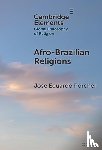 Porcher, Jose Eduardo (Pontifical Catholic University of Rio de Janeiro (PUC-Rio)) - Afro-Brazilian Religions