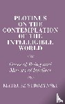 Strozynski, Mateusz (Uniwersytet im. Adama Mickiewicza w Poznaniu - Plotinus on the Contemplation of the Intelligible World