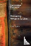 Cath, Yuri (La Trobe University) - Knowing What It Is Like