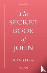 Litwa, M. David - The Secret Book of John
