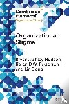 Hudson, Bryant Ashley (IESEG School of Management), Patterson, Karen D. W. (University of New Mexico), Dong, Lin (University of Birmingham) - Organizational Stigma