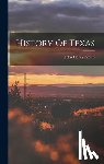 Brown, John Henry - History Of Texas