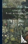 Beal, W. J. 1833-1924 - Grasses of North America