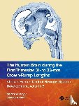 Bayer, Shirley A., Altman, Joseph - The Human Brain during the First Trimester 31- to 33-mm Crown-Rump Lengths