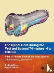Bayer, Shirley A., Altman, Joseph - The Spinal Cord during the First and Early Second Trimesters 4- to 108-mm Crown-Rump Lengths