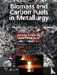 Legemza, Jaroslav (Technical University of Kosice, Frohlichova, Maria (Technical University of Kosice, Findorak, Robert (Technical University of Kosice - Biomass and Carbon Fuels in Metallurgy