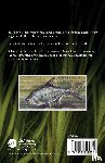 Everard, Mark (UWE Bristol) - Silver Bream