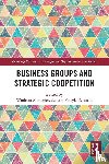  - Business Groups and Strategic Coopetition