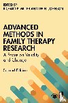  - Advanced Methods in Family Therapy Research
