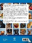  - Animal-Assisted School Counseling