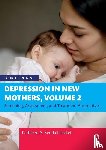 Kendall-Tackett, Kathleen A. (Texas Tech University - Depression in New Mothers, Volume 2