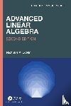 Loehr, Nicholas A. (Virginia Technical University - Advanced Linear Algebra