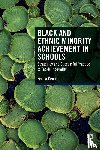 Demie, Feyisa (Durham University - Black and Ethnic Minority Achievement in Schools