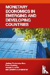 Abor, Joshua Yindenaba (University of Ghana Business School, Quartey, Peter, Nellis, Joseph G., Subramanian, Lakshmy - Monetary Economics in Emerging and Developing Countries