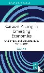 Ari, Izzet - Carbon Pricing in Emerging Economies