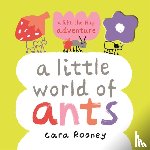 Rooney, Cara - A Little World of Ants