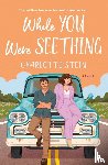 Stein, Charlotte - While You Were Seething