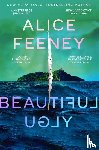 Feeney, Alice - Beautiful Ugly