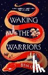 Okri, Ben - Waking the Warriors