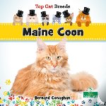 Conaghan, Bernard - Maine Coon