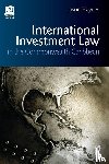 Haynes, Jason - International Investment Law in the Commonwealth Caribbean