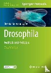  - Drosophila