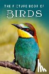 Books, Sunny Street - The Picture Book of Birds