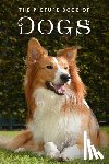 Books, Sunny Street - The Picture Book of Dogs: A Gift Book for Alzheimer's Patients and Seniors with Dementia