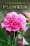 Books, Sunny Street - The Picture Book of Flowers