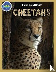 Costanzo, Beth - Cheetah Activity Workbook ages 4-8