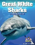 Costanzo, Beth - Great White Shark Activity Book for ages 4-8 years of age
