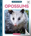 Andrews, Elizabeth - Opossums