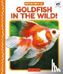 Hansen, Grace - Goldfish in the Wild!