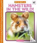Hansen, Grace - Hamsters in the Wild!