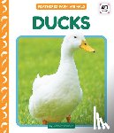 Andrews, Elizabeth - Ducks