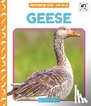 Andrews, Elizabeth - Geese