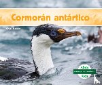 Hansen, Grace - Cormoran Antartico (Antarctic Shag)