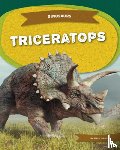 Giedd, Steph - Triceratops