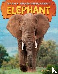 Daniels, Ruby - Elephant