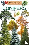 Murray, Laura K. - Conifers