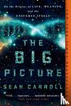 Carroll, Sean - Big Picture