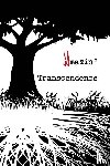 Adams, Jeremy - Amazin' Transcendence