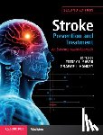  - Stroke Prevention and Treatment - An Evidence-based Approach