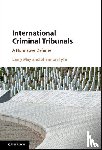 May, Larry (Vanderbilt University, Fyfe, Shannon (Vanderbilt University - International Criminal Tribunals
