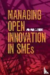 Vanhaverbeke, Wim (Hasselt Universiteit - Managing Open Innovation in SMEs