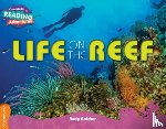 Belcher, Andy - Cambridge Reading Adventures Life on the Reef Orange Band