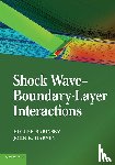  - Shock Wave-Boundary-Layer Interactions