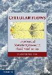 Shtern, Vladimir - Cellular Flows