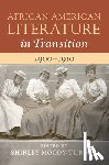  - African American Literature in Transition, 1900–1910: Volume 7